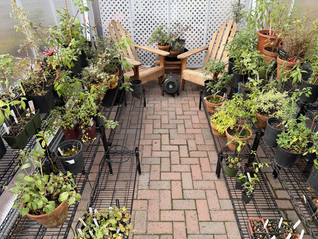 Greenhouse Staging 12